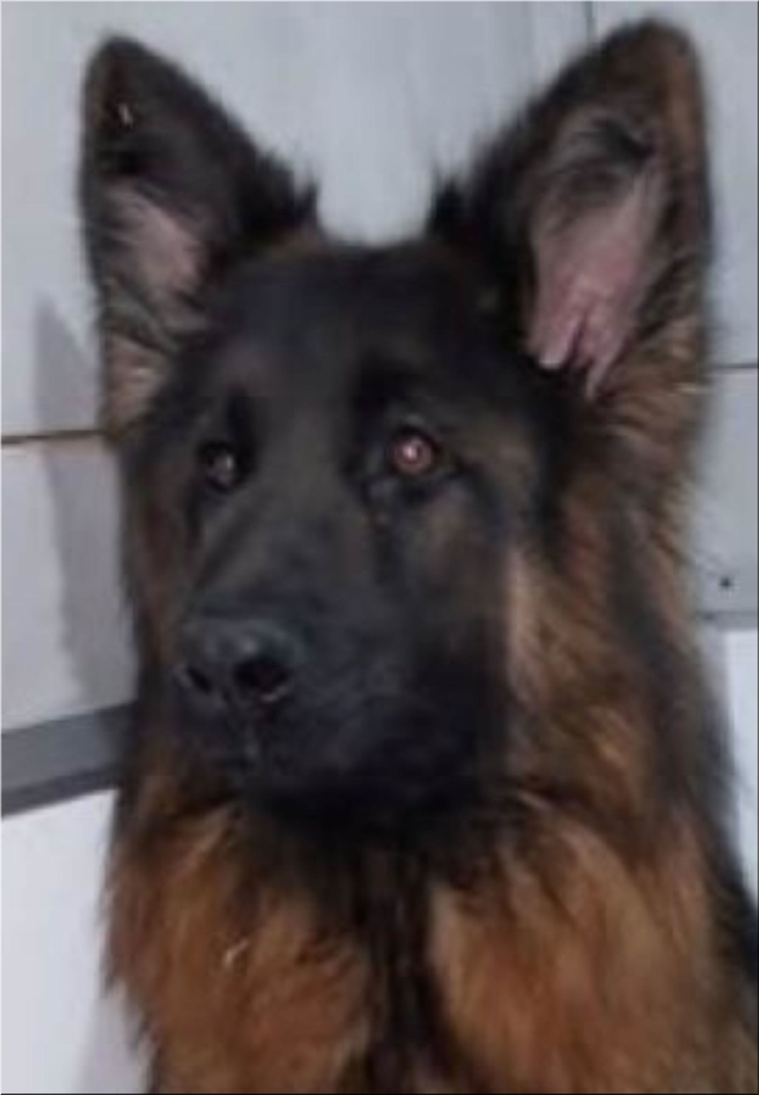 TALYA TETEC.jpg